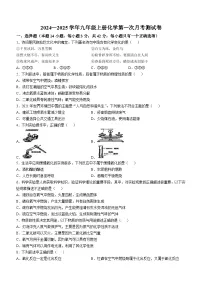 山东省泰安市2024--2025学年九年级上学期第一次月考化学测试卷(无答案)