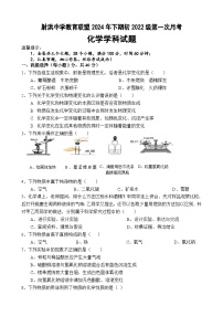 四川省射洪中学校2024-2025学年九年级上学期10月月考化学试题