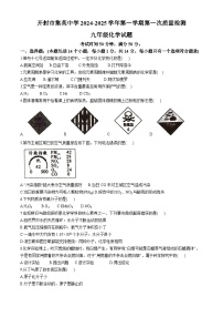 河南省开封市集英中学2024—2025学年九年级上学期10月月考化学试题