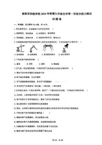 河南省南阳市实验学校2024-2025学年九年级上学期第一次月考化学试卷