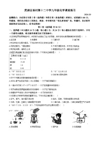 天津市武清区杨村第十二中学2024-2025学年九年级上学期10月月考化学试卷(无答案)