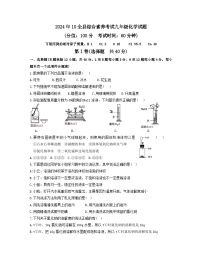 山东省东营市利津县2024--2025学年九年级上学期10月月考化学试题