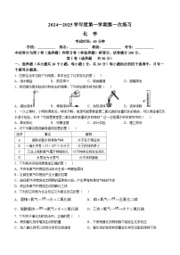 天津市武清区杨村第八中学2024-2025学年九年级上学期10月月考化学试题(无答案)