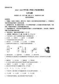 河南省信阳市平桥区2024-2025学年九年级上学期10月月考化学试题