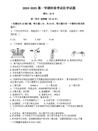 辽宁省朝阳市双塔区朝阳市第一中学2024-2025学年九年级上学期10月月考化学试题