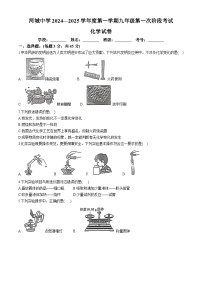 广东省汕尾市河城中学2024--2025学年九年级上学期10月月考化学试题(无答案)