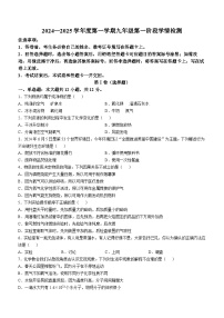 安徽省安庆市桐城市部分学校2024--2025学年九年级上学期第一次月考化学试题(无答案)