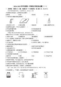 广东省梅州市平远县冬青实验中学2024-2025学年上学期九年级10月月考化学试题(无答案)