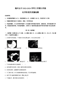 2023-2024学年山东省德州五中九年级（上）第一次月考化学试卷.