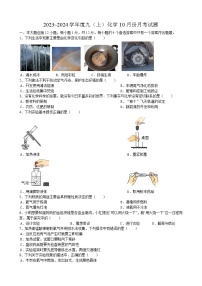 2023-2024学年安徽省安庆市桐城市大关中学九年级（上）月考化学试卷（10月份）.