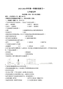 2023-2024学年河北省邢台十二中九年级（上）月考化学试卷（10月份）.