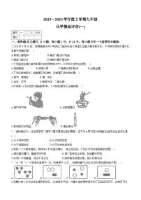 2023-2024学年陕西省渭南市蒲城县九年级（上）摸底化学试卷（一）.