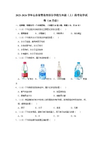 2023-2024学年山东省青岛市部分学校九年级（上）段考化学试卷（10月份）