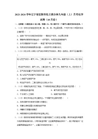 2023-2024学年辽宁省沈阳市私立联合体九年级（上）月考化学试卷（10月份）