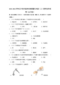 2023-2024学年辽宁省大连市名校联盟九年级（上）联考化学试卷（10月份）