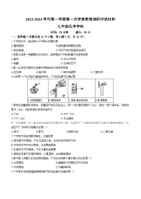 2023-2024学年河南省郑州市金水区九年级（上）学情教情调研评估化学试卷（10月份）.