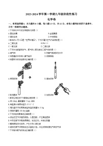 2023-2024学年广东省深圳市龙岗区九年级（上）段考化学试卷（10月份）.
