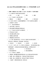 2023-2024学年山东省东营市市九年级（上）月考化学试卷（10月份）
