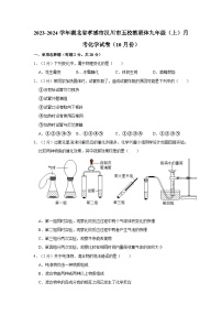 2023-2024学年湖北省孝感市汉川市五校教联体九年级（上）月考化学试卷（10月份）