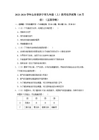 2023-2024学年山东省济宁市九年级（上）段考化学试卷（10月份）（五四学制）