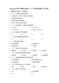 2023-2024学年上海市九年级（上）月考化学试卷（10月份）