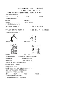 2023-2024学年海南省儋州市九年级（上）月考化学试卷（10月份）.