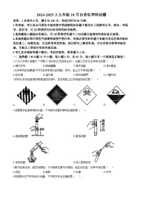 广东省东莞市万江三中2024--2025学年九年级上学期10月月考化学试题(无答案)