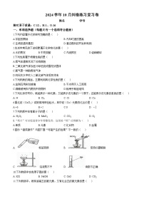 上海市洪山中学2024--2025学年九年级上学期10月月考化学复习卷(无答案)