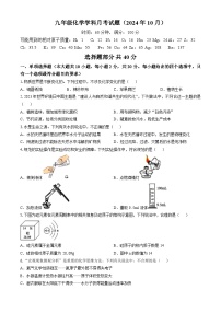 山东省济南市槐荫区育华中学2024-2025学年九年级上学期10月月考化学试题