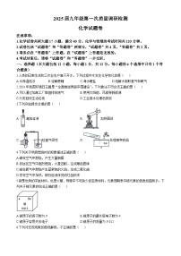 安徽省合肥市琥珀教育集团联考2024--2025学年九年级上学期10月月考化学试题