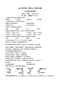 2023-2024学年广东省广州市白云中学九年级（上）月考化学试卷（10月份）.