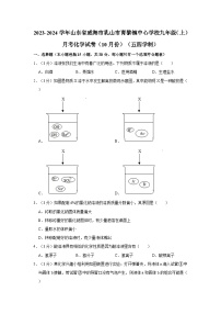 2023-2024学年山东省威海市乳山市育黎镇中心学校九年级（上）月考化学试卷（10月份）（五四学制）