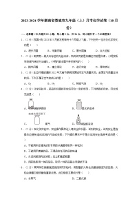 2023-2024学年湖南省娄底市九年级（上）月考化学试卷（10月份）