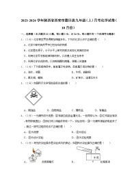 2023-2024学年陕西省西安市蓝田县九年级（上）月考化学试卷（10月份）