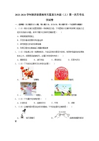 2023-2024学年陕西省渭南市大荔县九年级（上）第一次月考化学试卷