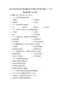 2023-2024学年辽宁省大连市甘井子区汇文中学九年级（上）月考化学试卷（10月份）