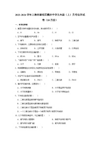 2023-2024学年上海市崇明区横沙中学九年级（上）月考化学试卷（10月份）