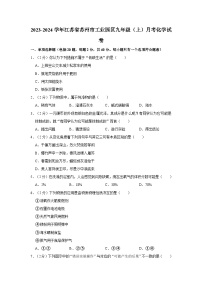 2023-2024学年江苏省苏州市工业园区九年级（上）月考化学试卷