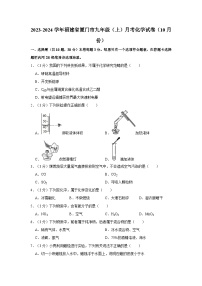 2023-2024学年福建省厦门市九年级（上）月考化学试卷（10月份）