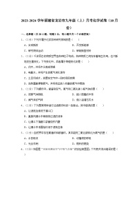 2023-2024学年福建省龙岩市九年级（上）月考化学试卷（10月份）
