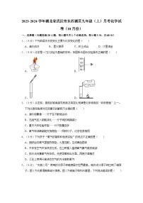 2023-2024学年湖北省武汉市东西湖区九年级（上）月考化学试卷（10月份）