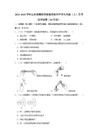 2023-2024学年山东省潍坊市诸城市相州中学九年级（上）月考化学试卷（10月份）