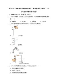 2023-2024学年湖北省随州市曾都区、随县校联考九年级（上）月考化学试卷（10月份）