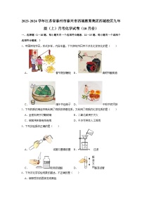 2023-2024学年江苏省泰州市泰兴市西城教育集团西城校区九年级（上）月考化学试卷（10月份）