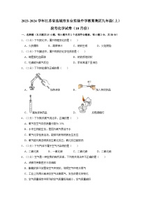 2023-2024学年江苏省盐城市东台实验中学教育集团九年级（上）段考化学试卷（10月份）