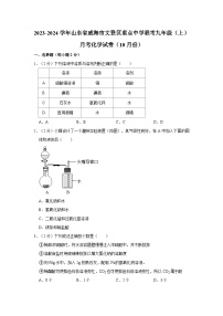 2023-2024学年山东省威海市文登区重点中学联考九年级（上）月考化学试卷（10月份）