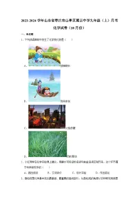 2023-2024学年山东省枣庄市山亭区翼云中学九年级（上）月考化学试卷（10月份）
