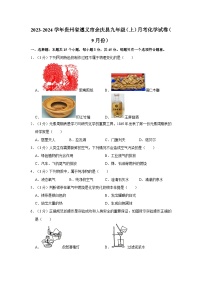 2023-2024学年贵州省遵义市余庆县九年级（上）月考化学试卷（9月份）