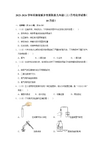 2023-2024学年河南省新乡市原阳县九年级（上）月考化学试卷（10月份）