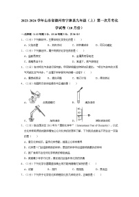 2023-2024学年山东省德州市宁津县九年级（上）第一次月考化学试卷（10月份）